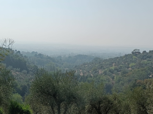 Monsummano Terme panoramico con terreno